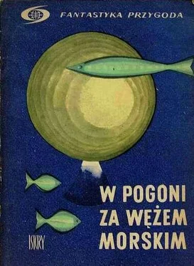 Wiktor Saparin W pogoni za wężem morskim обложка книги