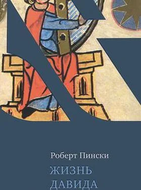 Роберт Пински Жизнь Давида обложка книги