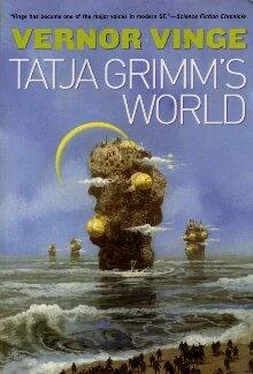 Vernor Vinge Tatja Grimm's World обложка книги