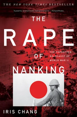 Iris Chang The Rape of Nanking обложка книги