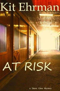Kit Ehrman At Risk обложка книги
