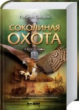 Роберт Линдон Соколиная охота обложка книги