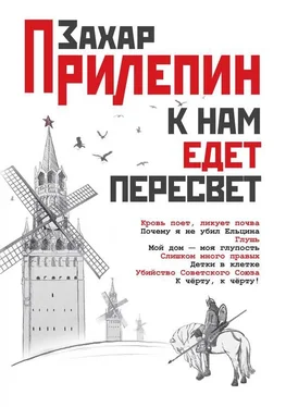 Захар Прилепин К нам едет Пересвет. Отчет за нулевые обложка книги