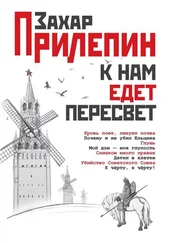 Захар Прилепин - К нам едет Пересвет. Отчет за нулевые