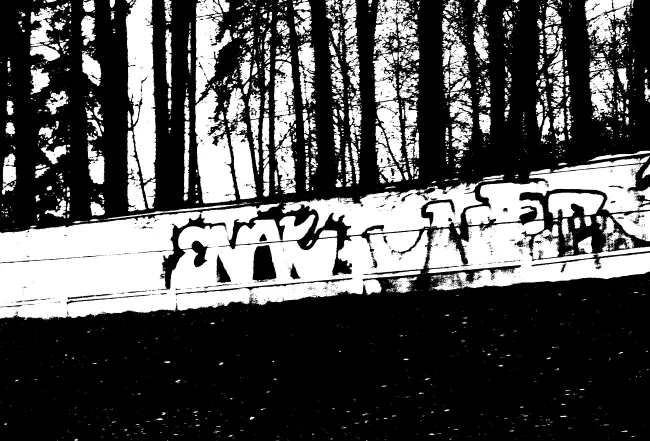 Мы стоим на окраине садового товарищества Василек Шуня осталась в доме со - фото 18