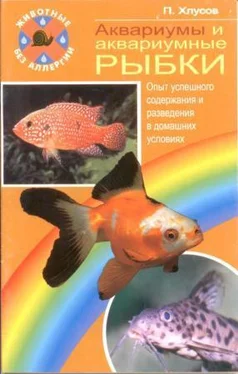 Петр Хлусов Аквариумы и аквариумные рыбки. Опыт успешного содержания и разведения в домашних условиях обложка книги