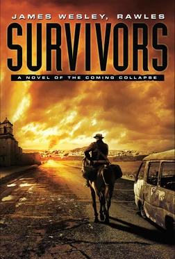 James Rawles Survivors: A Novel of the Coming Collapse обложка книги