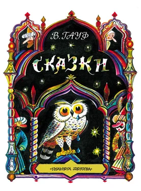 Вильгельм Гауф Сказки (сборник) обложка книги