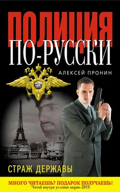 Алексей Пронин Страж державы обложка книги