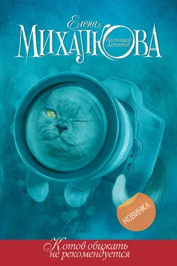 Елена Михалкова Котов обижать не рекомендуется обложка книги