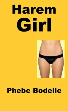 Phebe Bodelle Harem Girl обложка книги