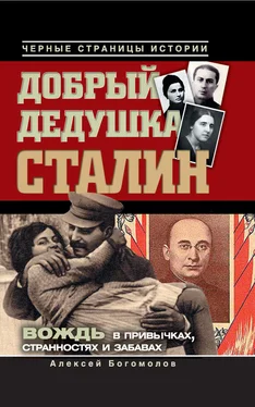 Алексей Богомолов Добрый дедушка Сталин. Правдивые рассказы из жизни вождя