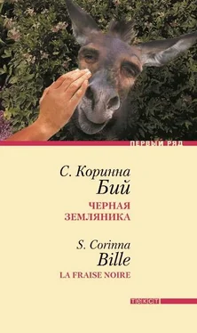 С. Коринна Бий Черная земляника: Рассказы обложка книги