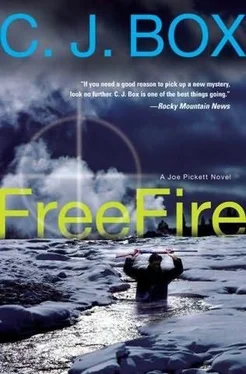 C. Box Free Fire обложка книги