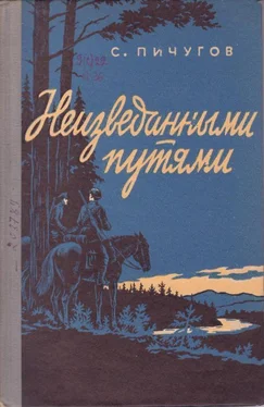 Степан Пичугов Неизведанными путями обложка книги