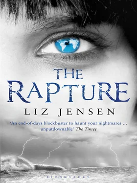 Liz Jensen The Rapture