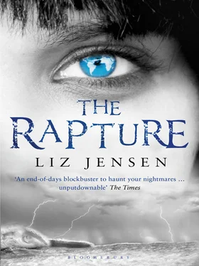 Liz Jensen The Rapture обложка книги