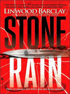 Linwood Barclay Stone Rain обложка книги