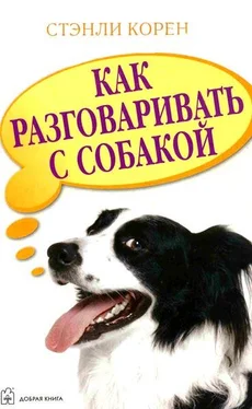 Стэнли Корен Как разговаривать с собакой обложка книги