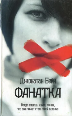 Джонатан Бейн Фанатка обложка книги