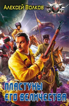 Алексей Волков Пластуны Его Величества обложка книги