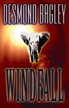 Desmond Bagley Windfall обложка книги