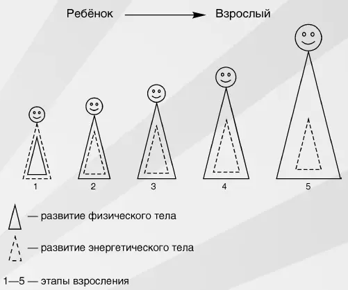 Уменьшение энергетического тела в зависимости от проявления обиды На тонком - фото 3