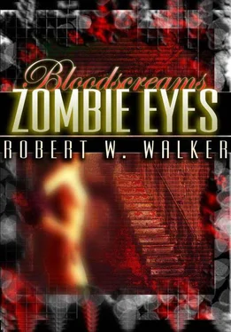 Robert Walker Zombie Eyes обложка книги