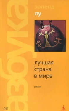 Эрленд Лу Лучшая страна в мире обложка книги