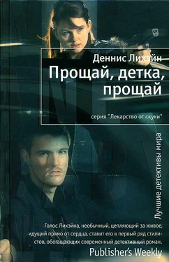 Деннис Лихэйн Прощай, детка, прощай обложка книги