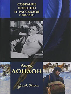 Джек Лондон Лунный лик обложка книги