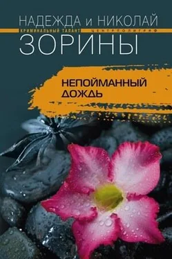 Надежда Зорина Непойманный дождь обложка книги