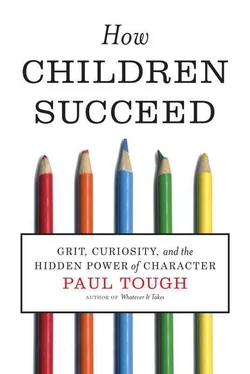 Paul Tough How Children Succeed обложка книги