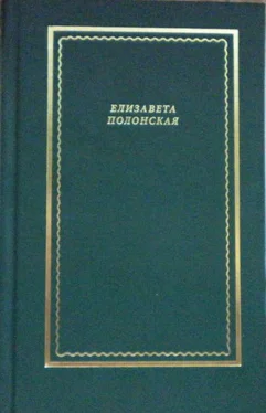 Елизавета Полонская Стихотворения и поэмы обложка книги