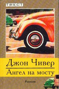 Джон Чивер Ангел на мосту обложка книги