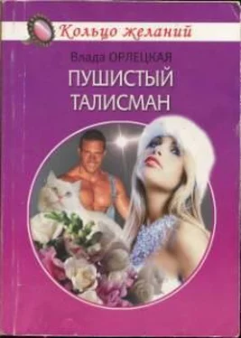 Влада Орлецкая Пушистый талисман обложка книги