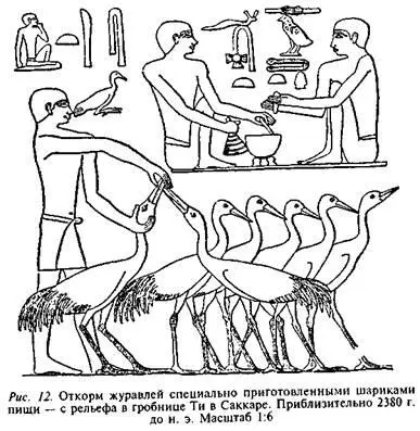 Но практически с самого начала египтяне стремились строить вечные жилища для - фото 12