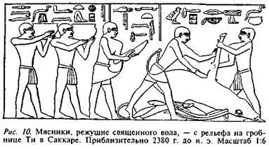 Пергамент козлиную кожу и шкуры дубили и красили для множества целей начиная - фото 10