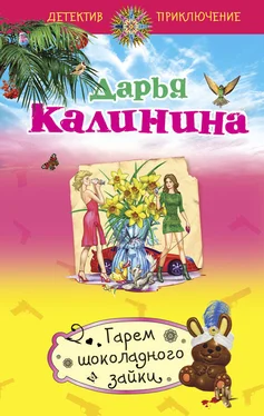 Дарья Калинина Гарем шоколадного зайки обложка книги