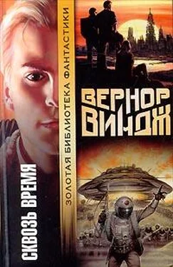 Вернор Виндж Брошенные в реальном времени обложка книги