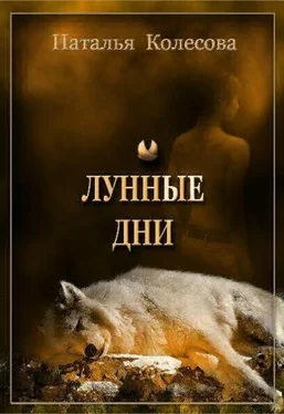 Наталья Колесова Лунные дни обложка книги