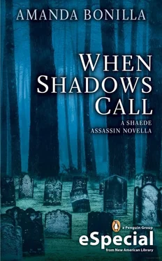 Amanda Bonilla When Shadows Call обложка книги