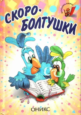 Пётр Синявский Скороболтушки обложка книги