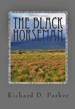 Richard Parker The Black Horseman обложка книги