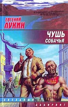 Евгений Лукин Чушь собачья обложка книги