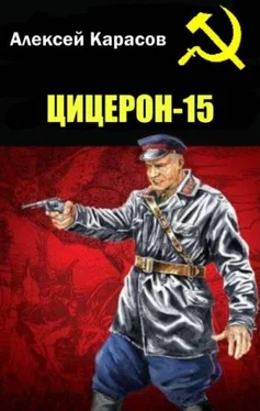 Алексей Карасов цицерон-15 обложка книги