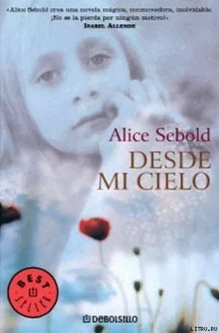 Alice Sebold Desde Mi Cielo обложка книги
