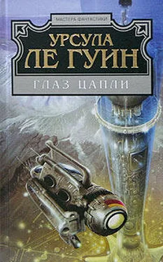 Урсула Ле Гуин Глаз цапли обложка книги