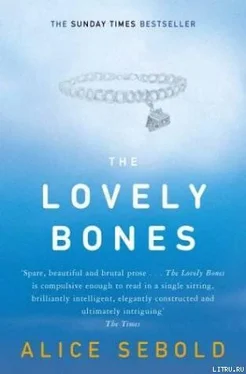 Alice Sebold The Lovely Bones