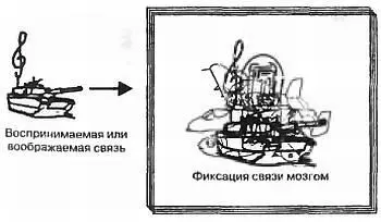 Для того чтобы последовательно просмотреть записанные в мозг картинки его - фото 24